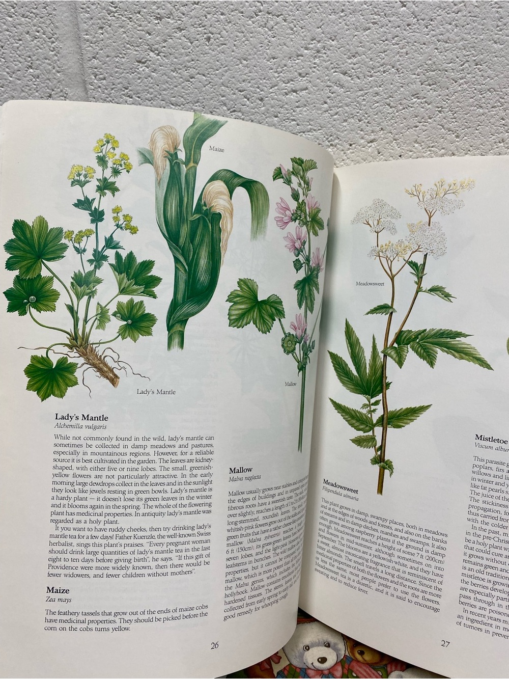 paperback copy of the book Health from God's Garden by Maria Treben - Picture 2 of 15